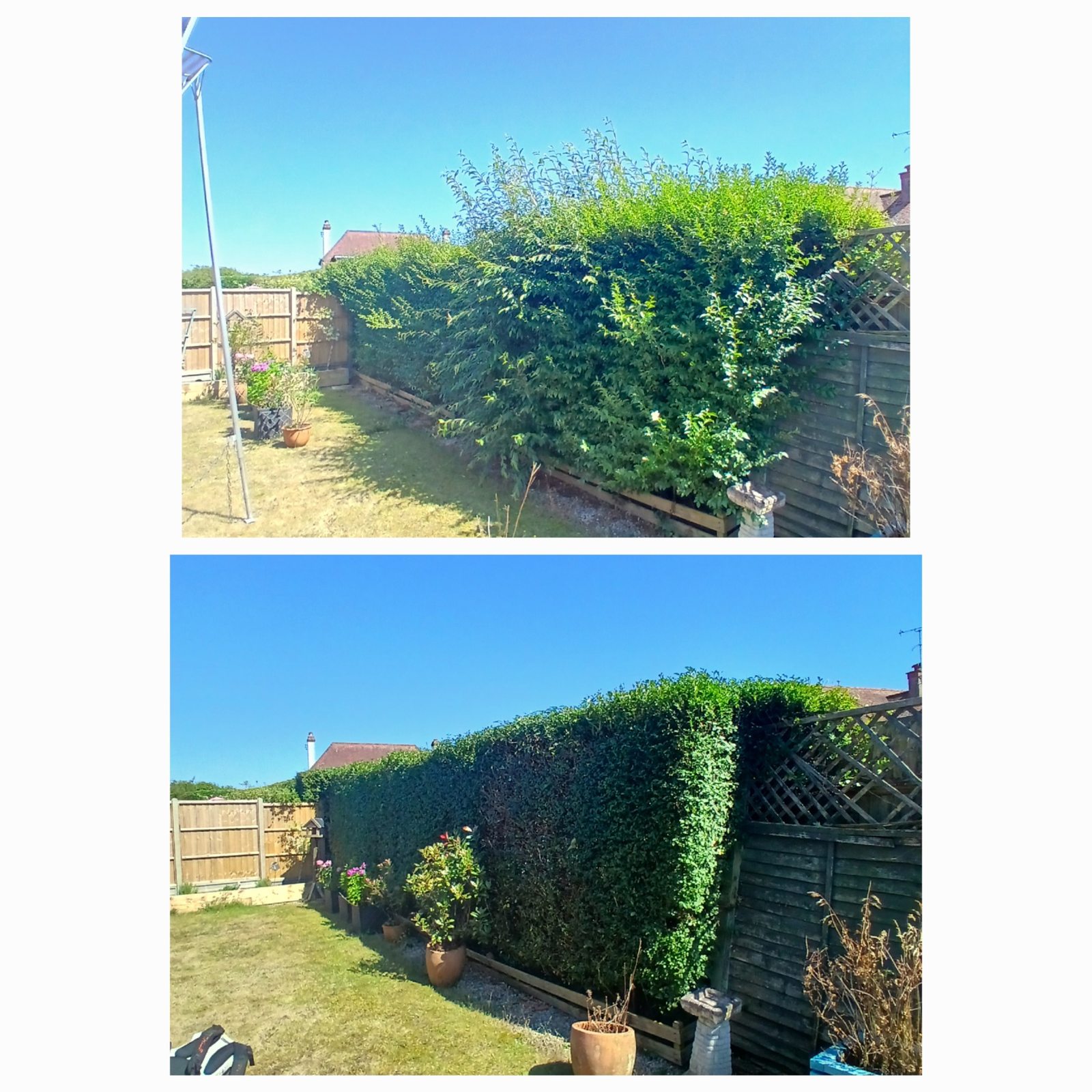 Worthing Tree Surgeon before and after #1