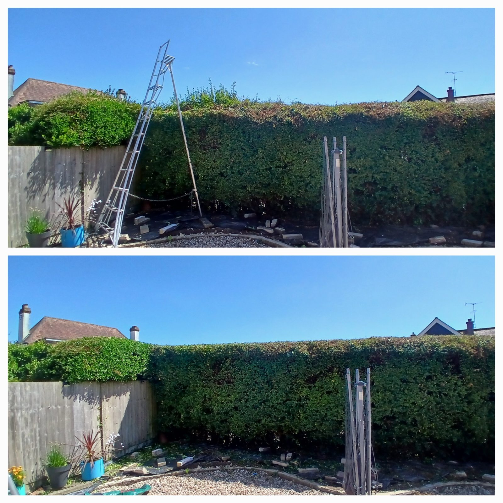 Worthing Tree Surgeon before and after #2