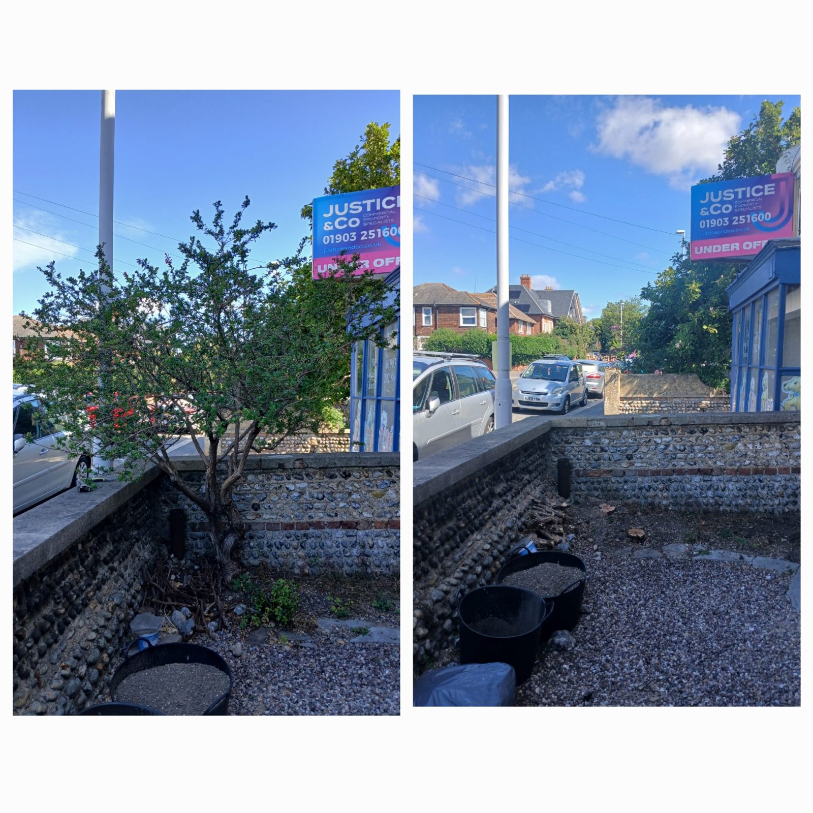 Worthing Tree Surgeon before and after #3