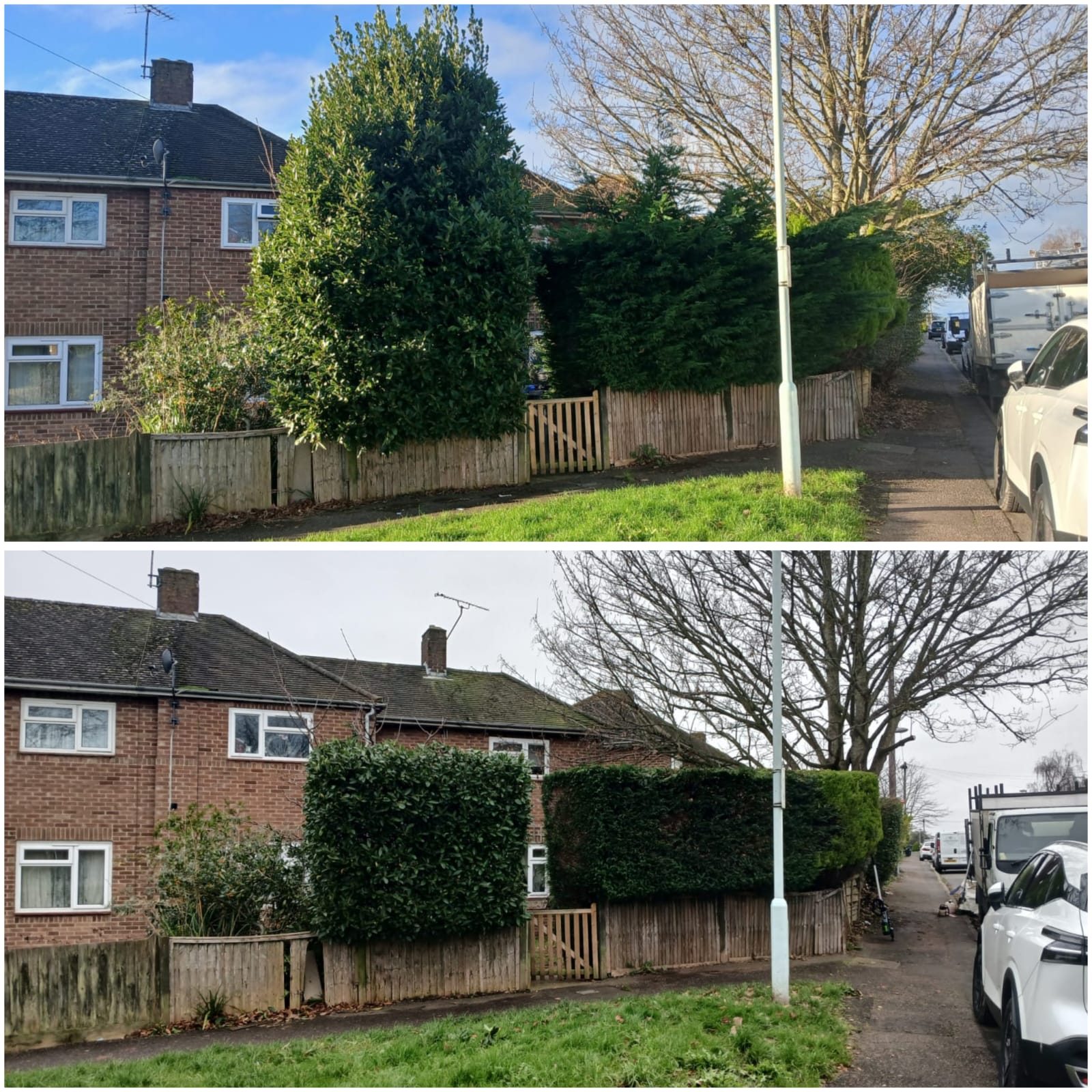 Worthing Tree Surgeon before and after #4